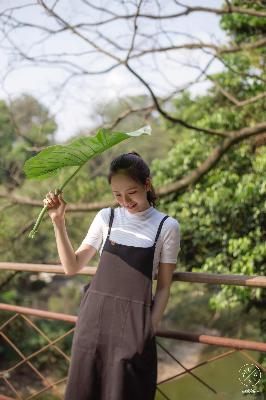 少女哔哩哔哩高清在线观看,少女在线观看高清完整版免费动漫