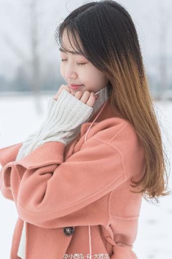 飘雪影院在线观看免费版高清